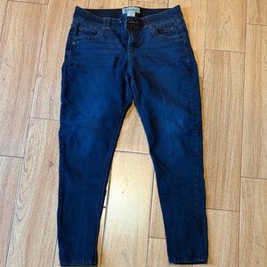 Democracy Navy Skinny Jeans